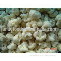 Frozen IQF vegetable manufacturer export cauliflower